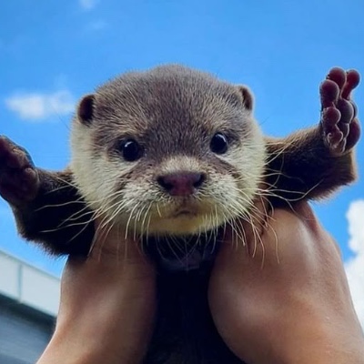 안계현님의 프로필 이미지
